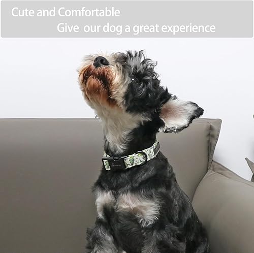 Miniatura 5 de ARING PET - Collar de dinosaurio para perros pequeños, collar ajustable y cómodo de algodón para perros pequeños, medianos y grandes, pequeño