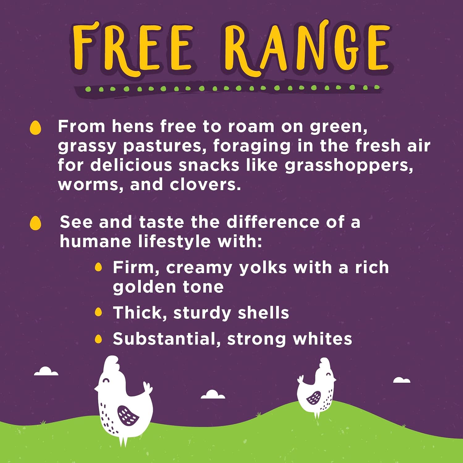 Nellie's Free Range Large Eggs, 12 Count