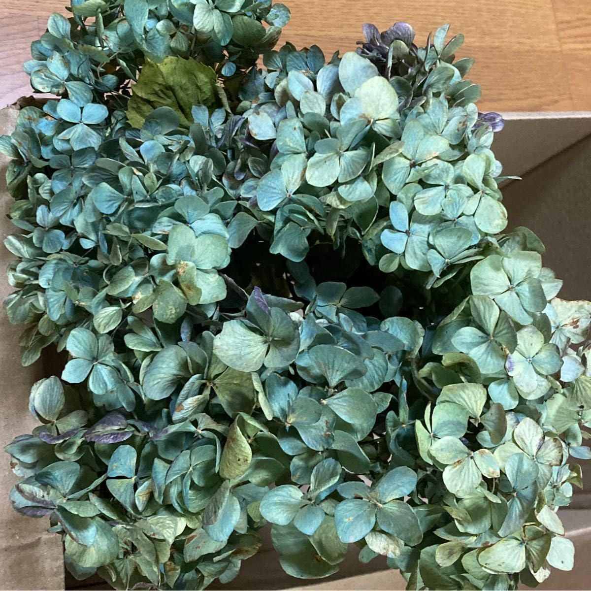 キャプテン翼 56話 63話 2冊セット キャプテン翼 56話 63話 2冊セット