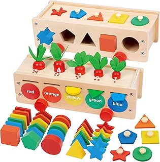 TEUVO Montessori Toys for 2 3 4 5 Year Old Color Sorting and Stacking Toys for Toddlers 2-6 Toddler Toys Shape Sorter Toy ...