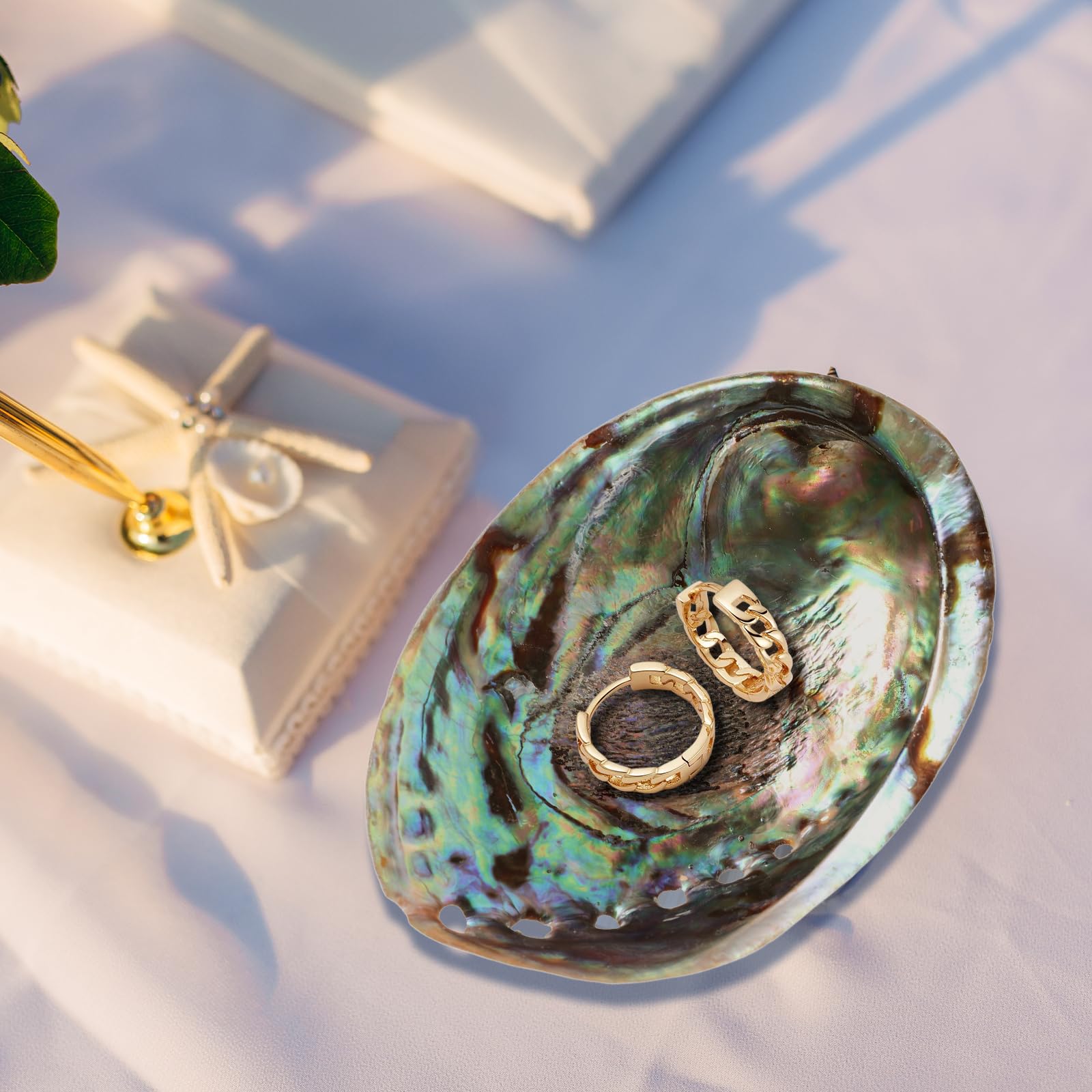 Veemoon Natürliche Abalone-Schale Shell Desktop Tank Zubehör Strand Räucherstäbchen Poliert Hoch DIY Anhänger Wohnschmuck Poliert Ring Tisch cm Paua für Halter Clearing Bowl Coastal Large Dekorative