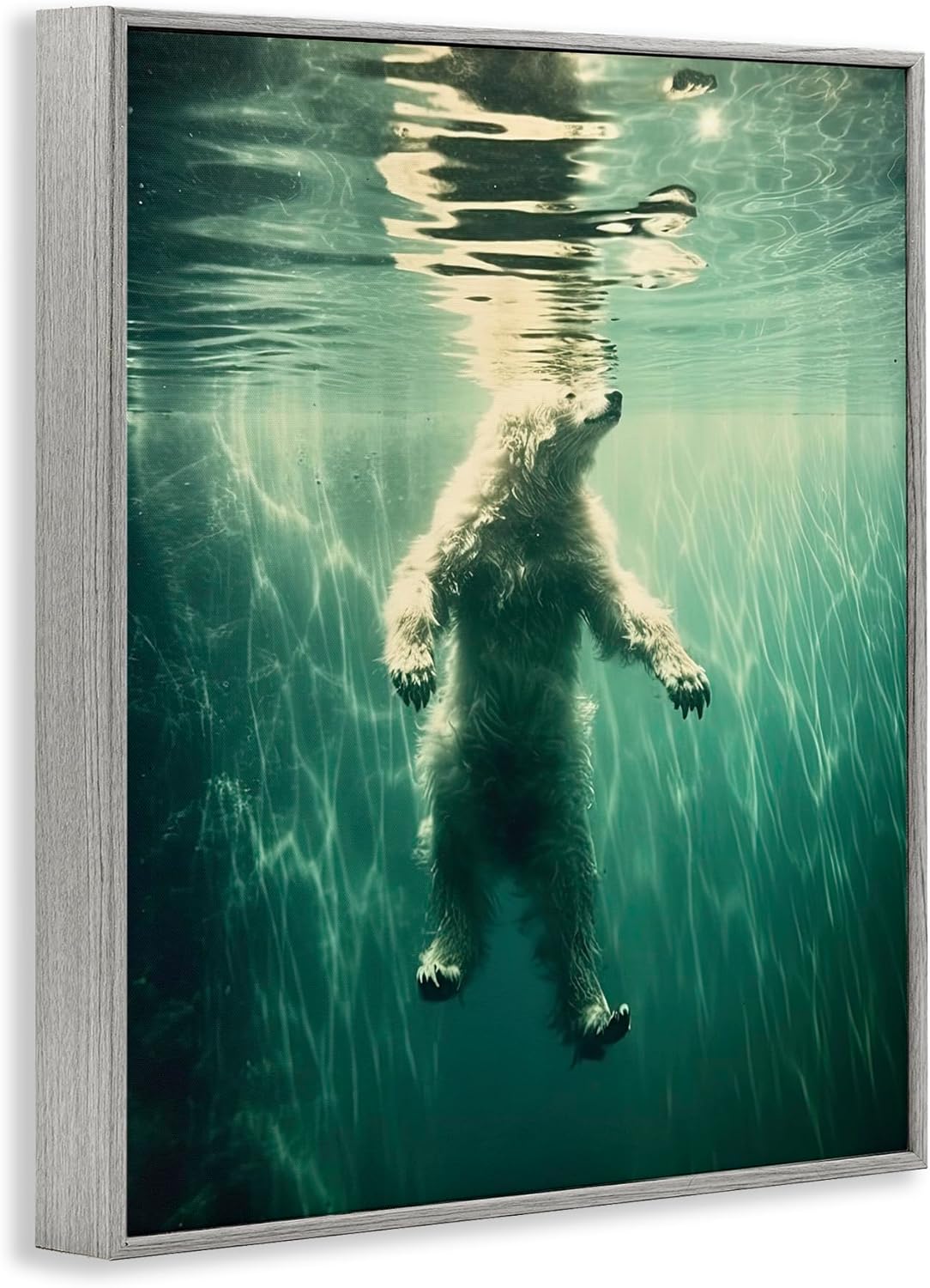 Stupell Industries Floating Bear Underwater White Framed Giclee Art, design by Decent Exposures, 14 x 11