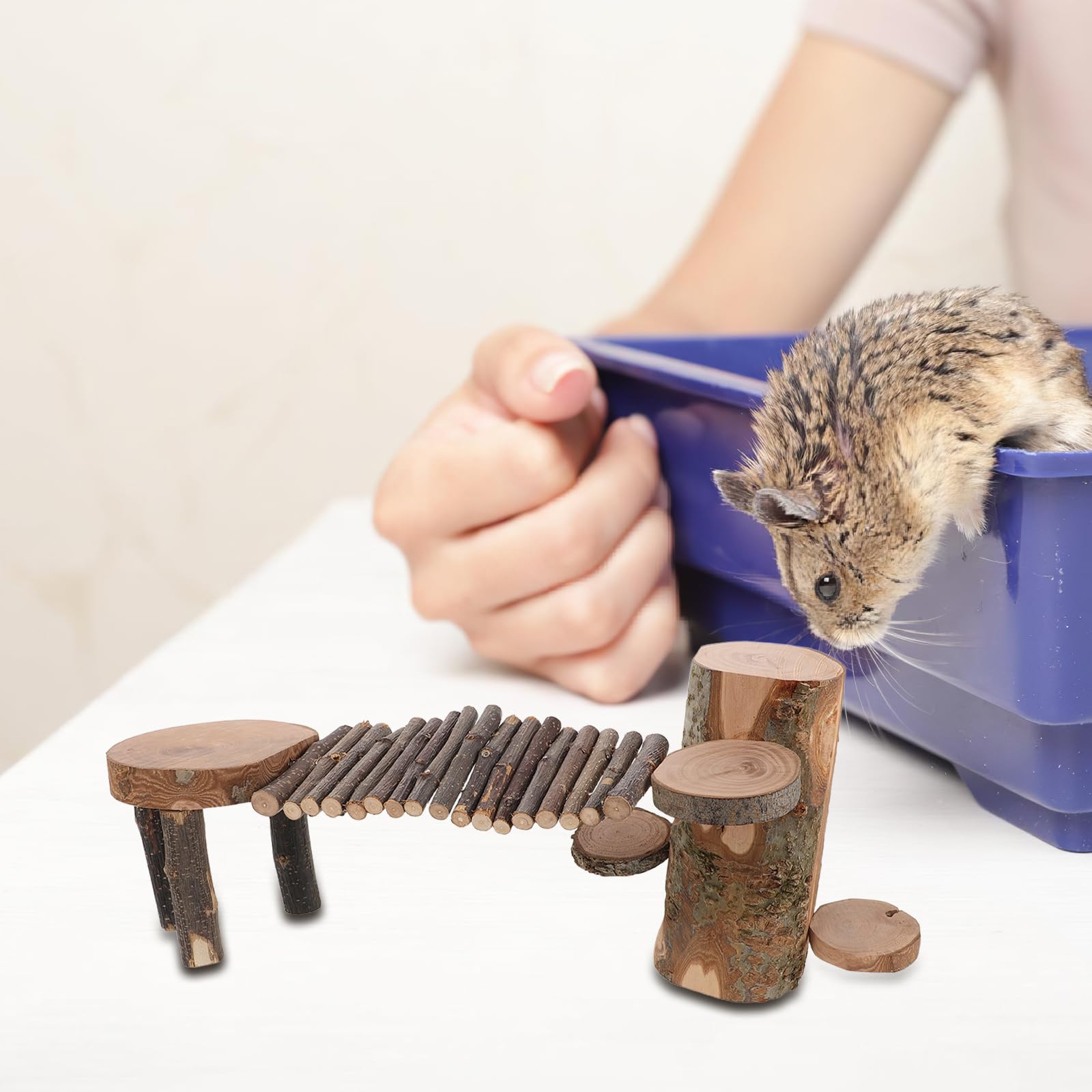 GALPADA Piccola Scala in Legno per Criceti con Piattaforma di Gioco e Nascondiglio, Giocattolo da Masticare per Piccoli Animali Domestici come Cincillà e Conigli, Supporto per Attività