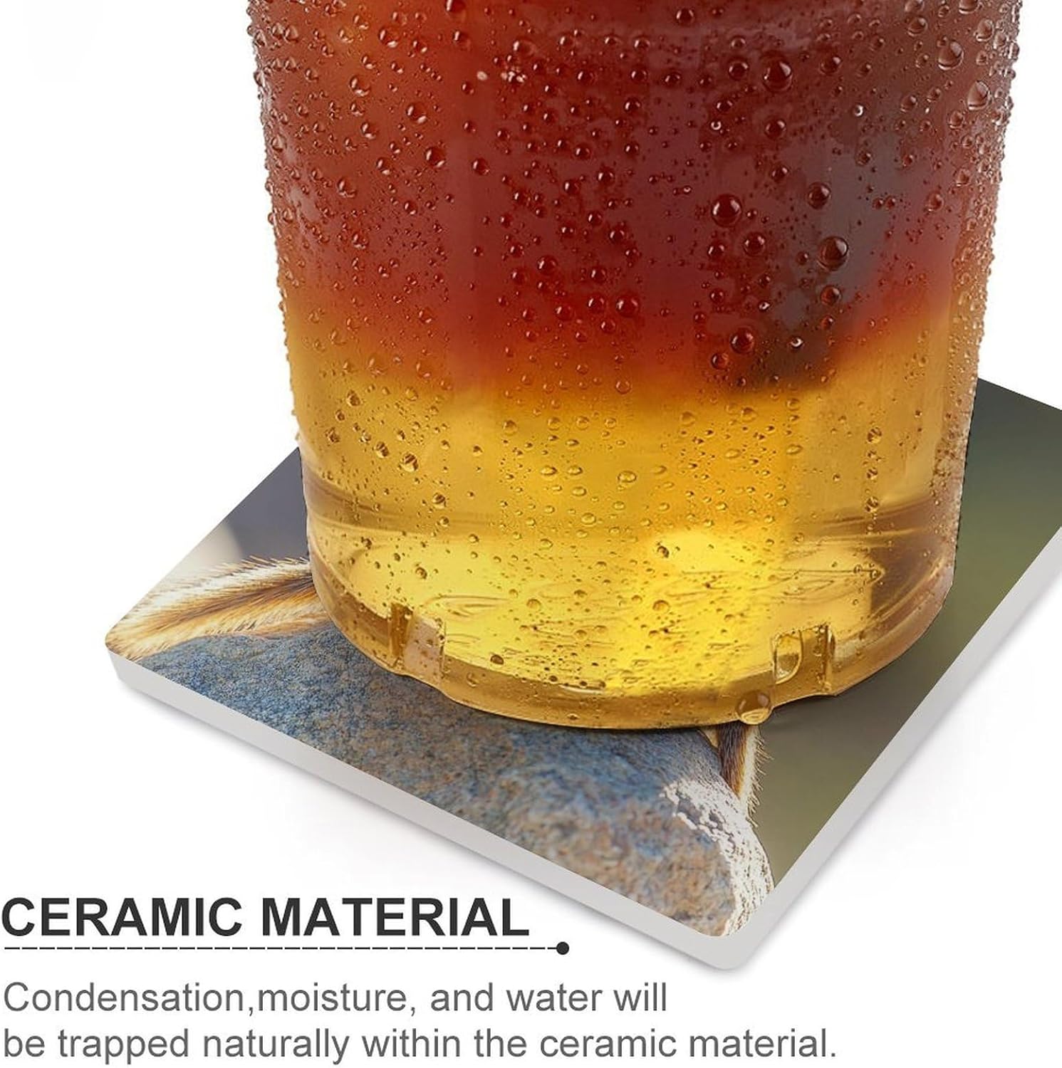 Chipmunks Kissing Ceramic Coasters Set Square Drink Coasters Table Coaster for Kitchen Desktop Decor