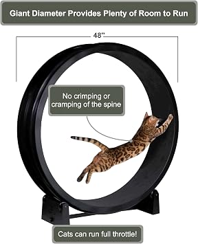 One Fast Cat - Cat Exercise Wheel - Made in the USA - 48 Diameter - Gen. 7