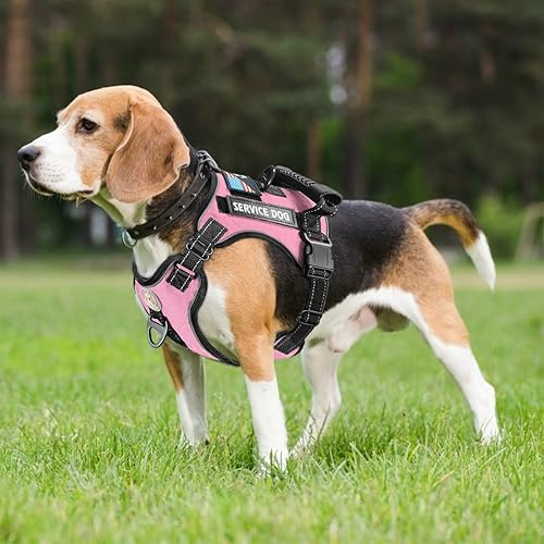 Miniatura 7 de Chaleco de servicio para perro, arnés y correa para perro, arnés ajustable Oxford reflectante con asa para entrenamiento al aire libre, fácil