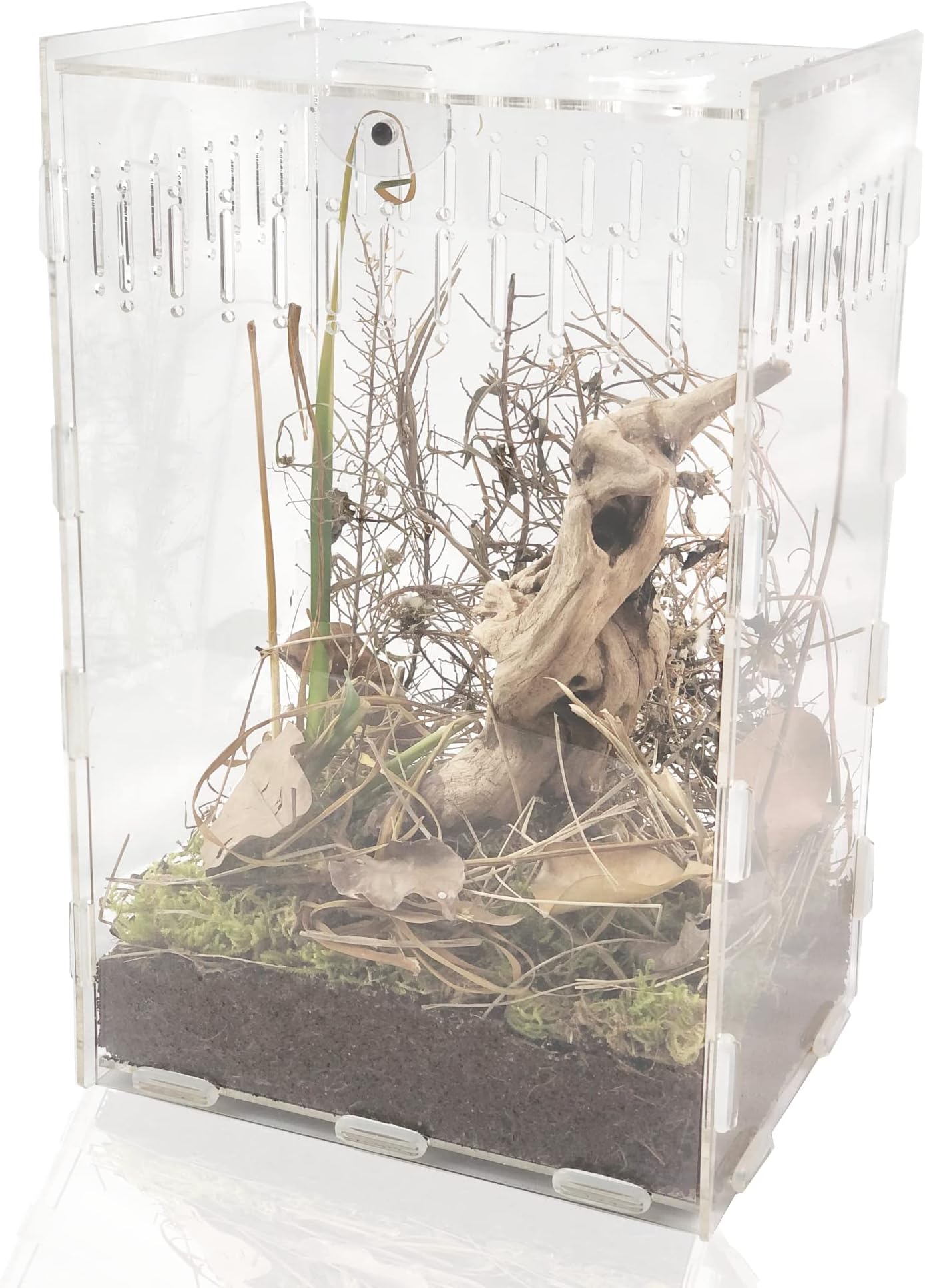 12x8x6 inch Acrylic Reptile Case, Vertical