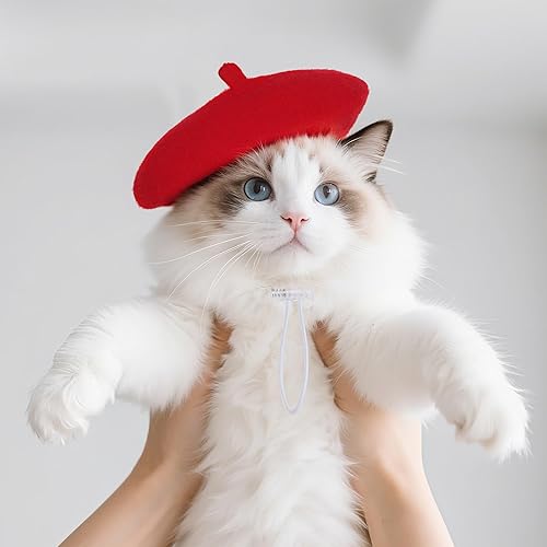 choyaxo 1pcs Dog Beret Funny Artist Dog hat for Small Dogs Cat Halloween(red)