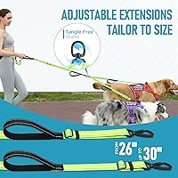 Vista 6 de Hands Free Dog Leash, Waist Bungee Leash for 2 Large Dogs, 6-8ft No-Tangle Heavy Duty Leashs(50-120 lbs)