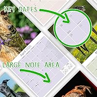 Vista 1217 de Razas de Perros 2017