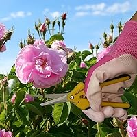 Vista 4 de Centurion 197 Precision Garden Snip