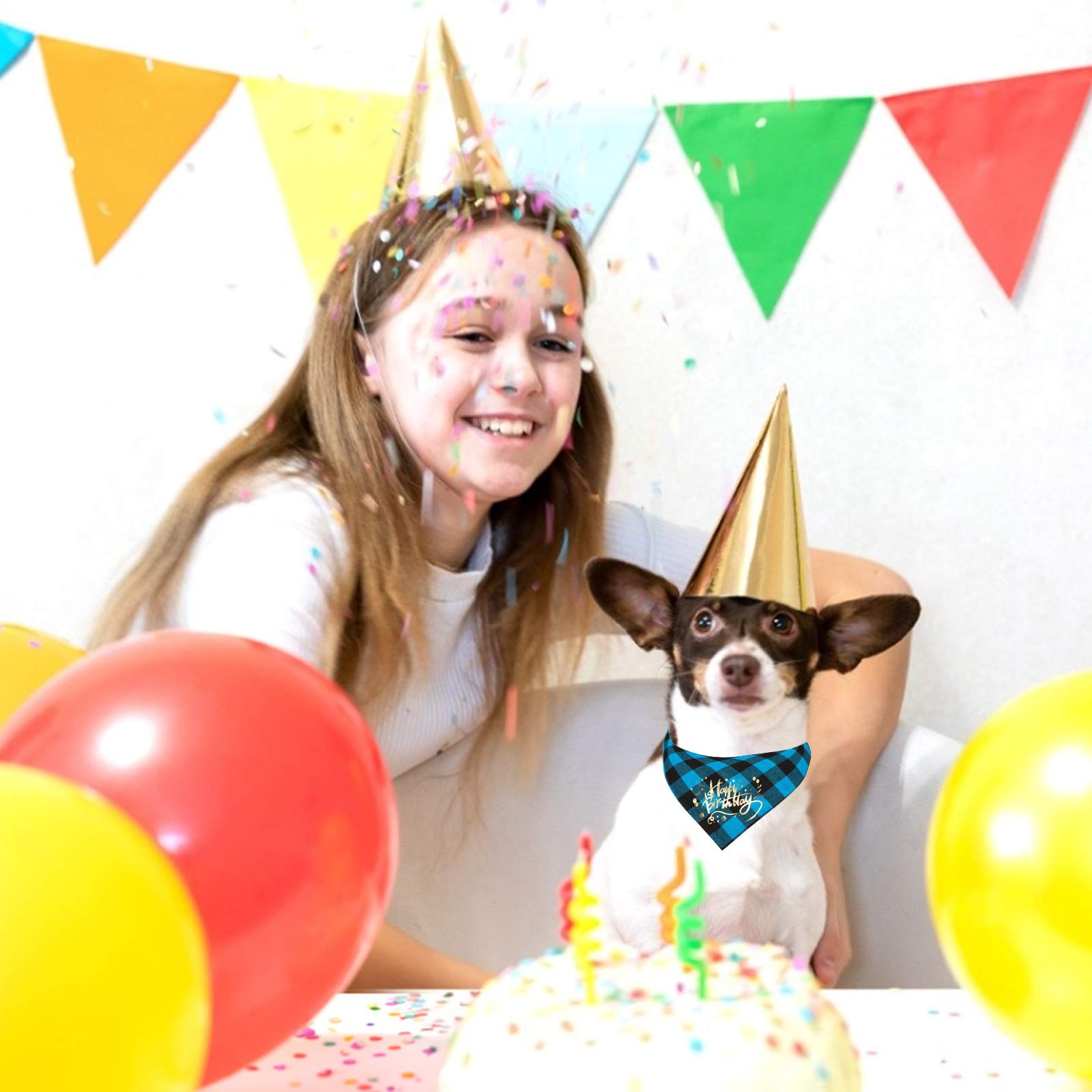Hundehalstuch 'Happy Birthday' – 2 Stück, Kariert, Aus Weicher Baumwolle, Für Kleine Bis Große Hunde