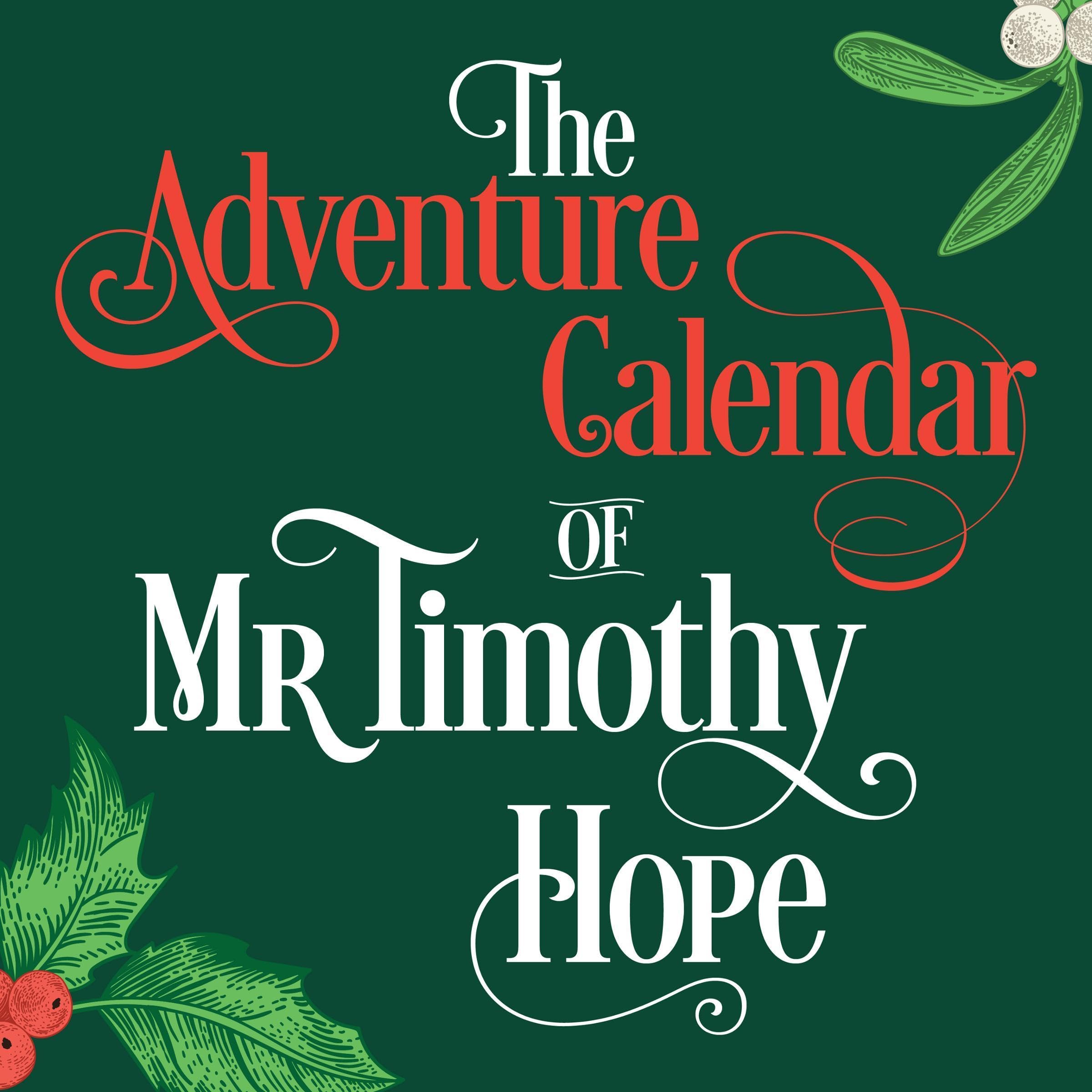 Cover art for The Adventure Calendar of Mr Timothy Hope