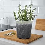 GREANER Clear Plant Pots, Plastic Planters for Indoor Plants, Seed Starting Pot with Drainage Holes, 4/5/6/7/8 Inch(10 Packs)