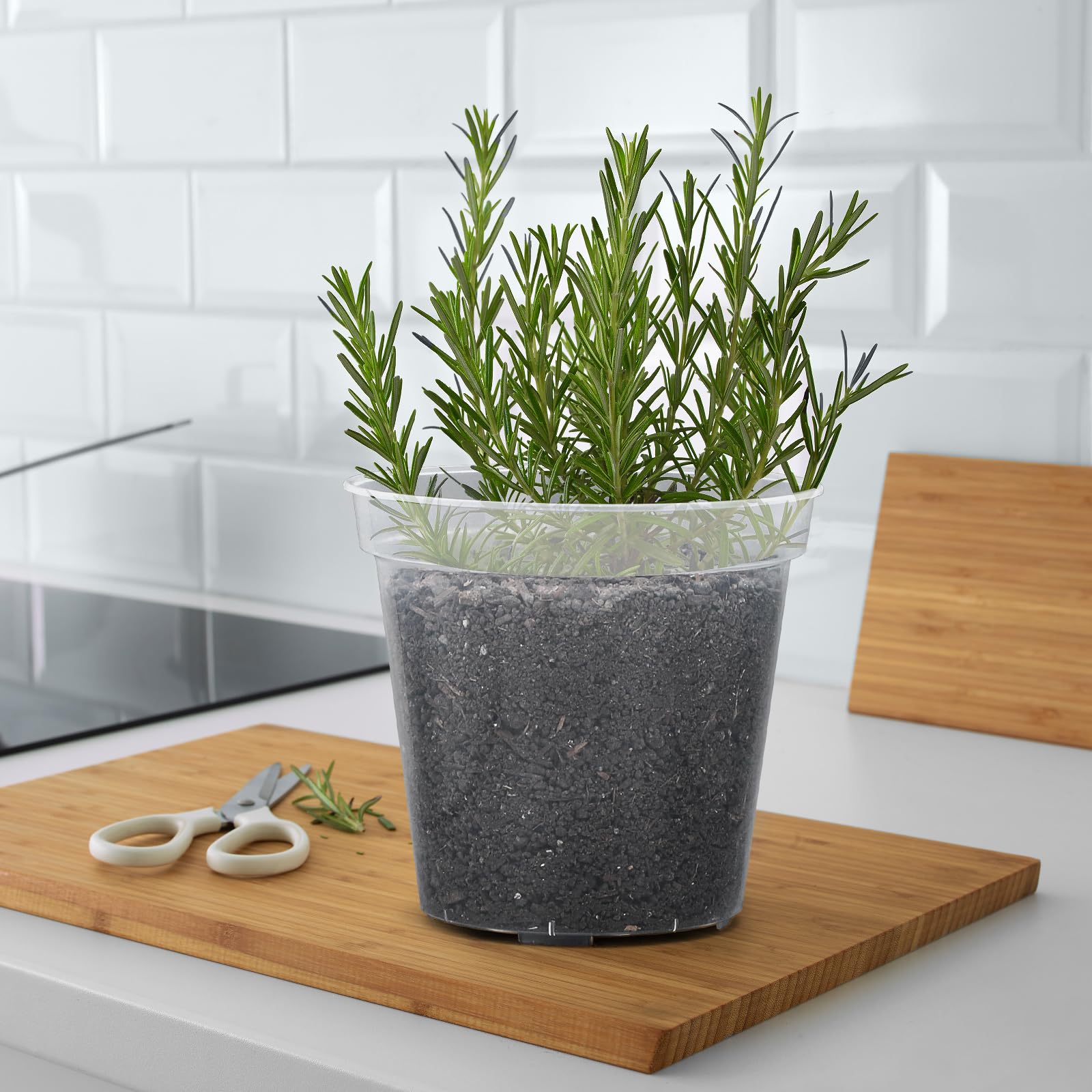GREANER Paquete de 10 macetas de 8 pulgadas, macetas transparentes para plantas de vivero, macetas de plástico con agujeros de drenaje, maceta de inicio de semillas de flores de alta transparencia con