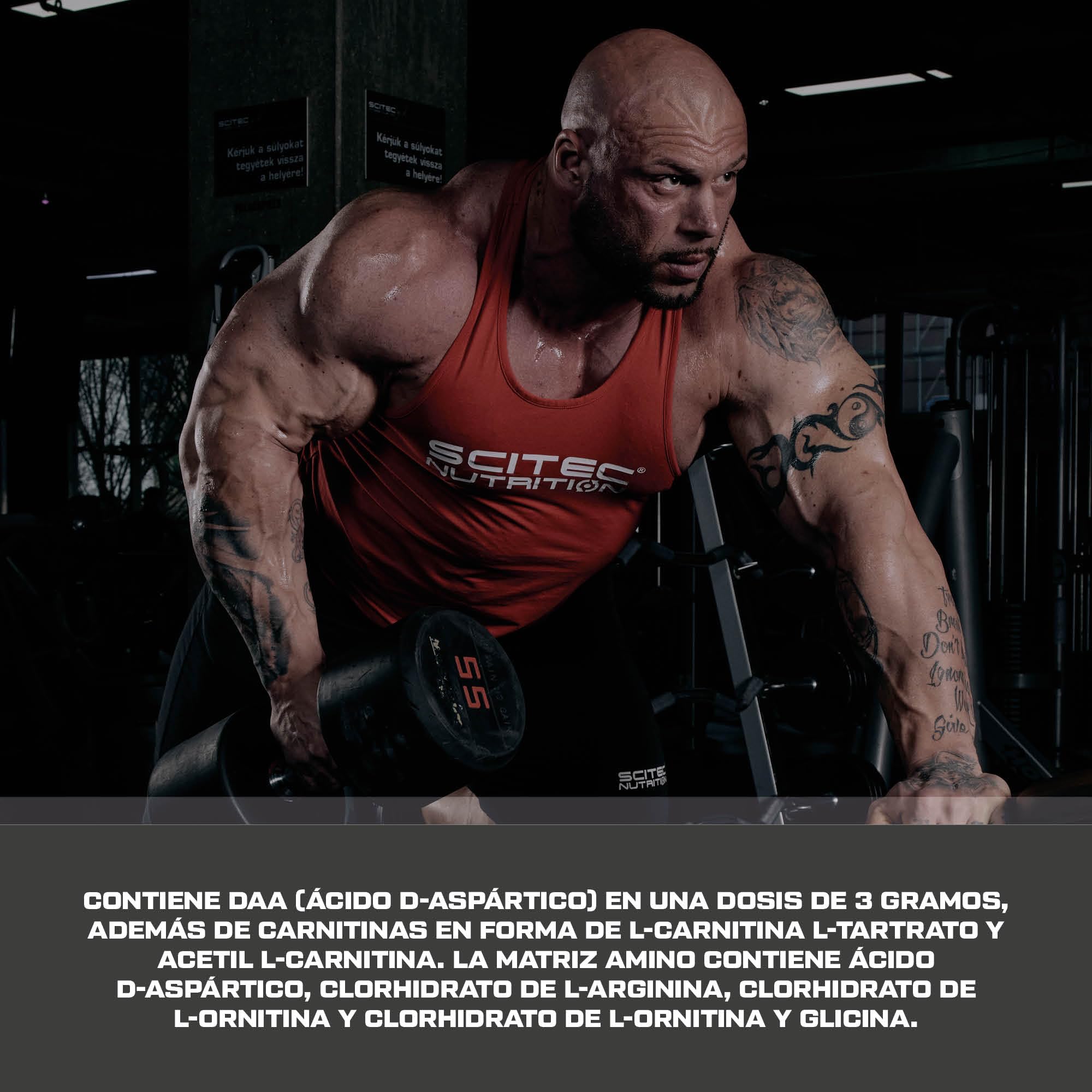 Scitec Nutrition TGH - Testosterona avanzada Optimizer bebida en polvo, la energía y la vitalidad - sin azúcar y sin gluten Fórmula, 300g, Cereza-Vainilla