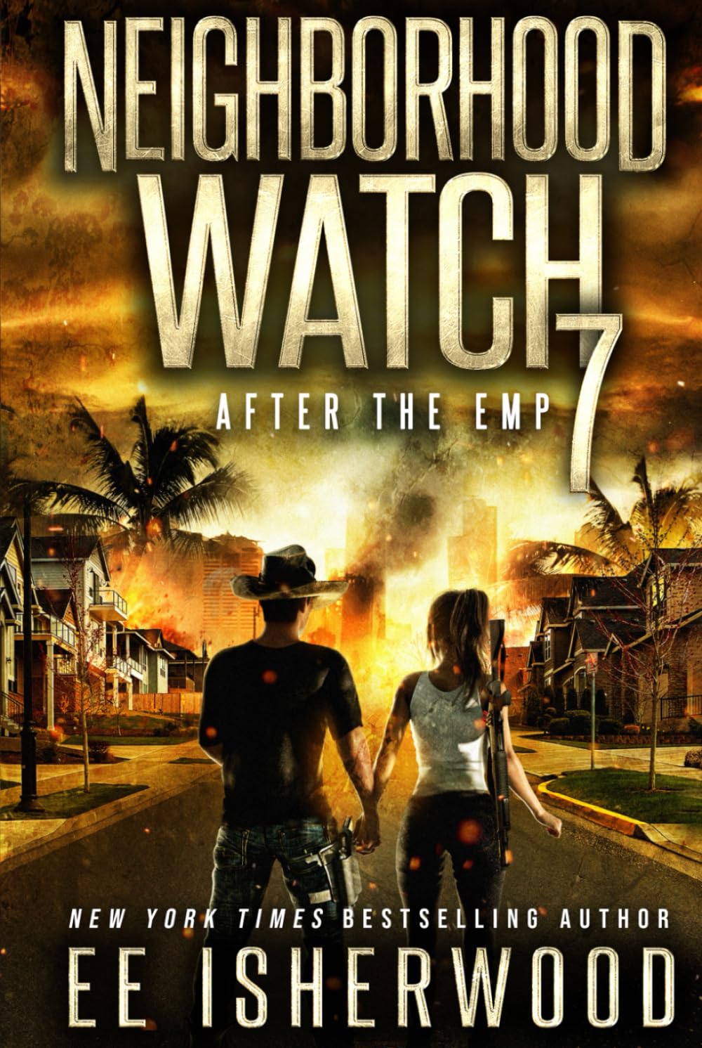 Neighborhood Watch 7: After the EMP