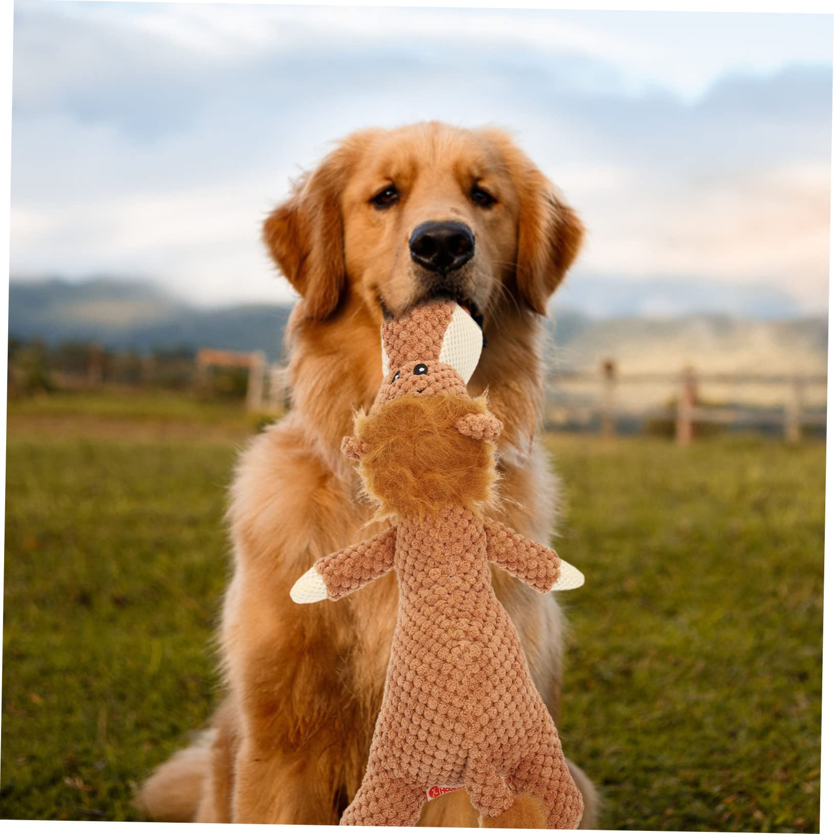 Toddmomy 3 Piezas Accesorio Cachorro Dog Toys Juguete Juguete para Mascotas Peluche Juguetes Juguete para Cachorros Resistente a mordeduras Juguete para Masticar doméstico vocalizar