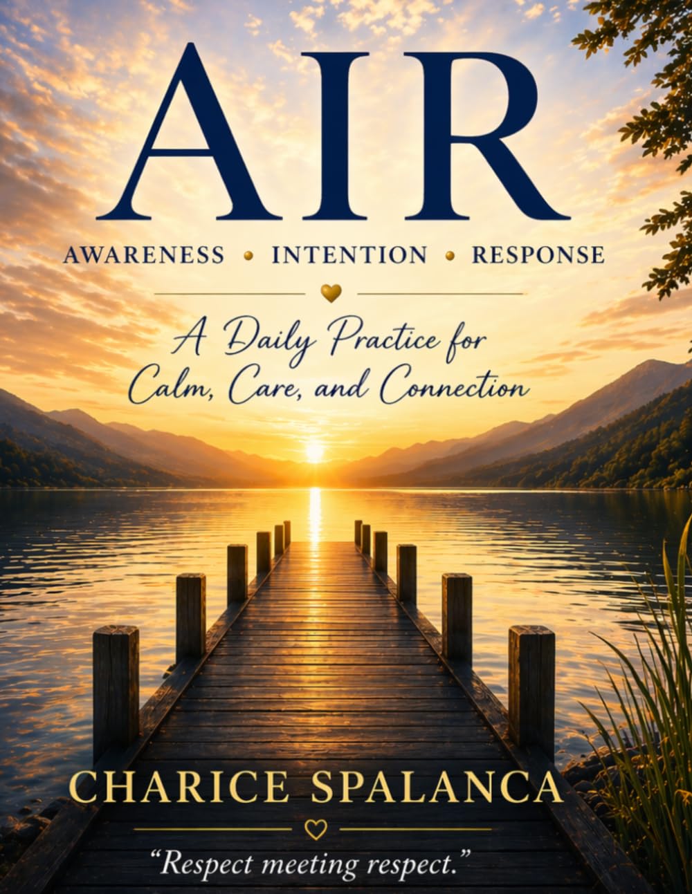 AIR: Awareness • Intention • Response