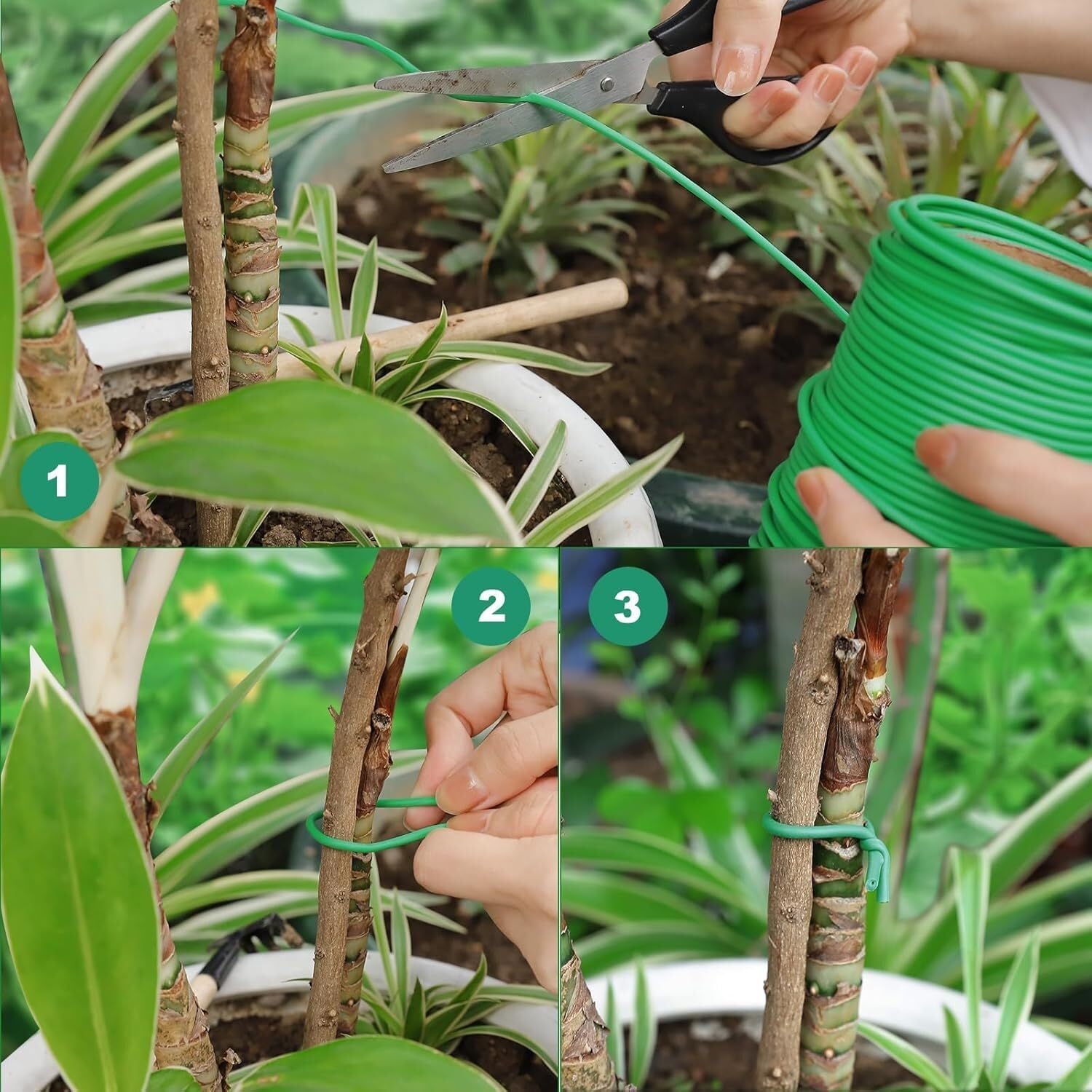 Filo verde da giardino 40m per legare piante 2,5mm | Rotolo continuo con rivestimento morbido flessibile per sostegno piante interno ed esterno