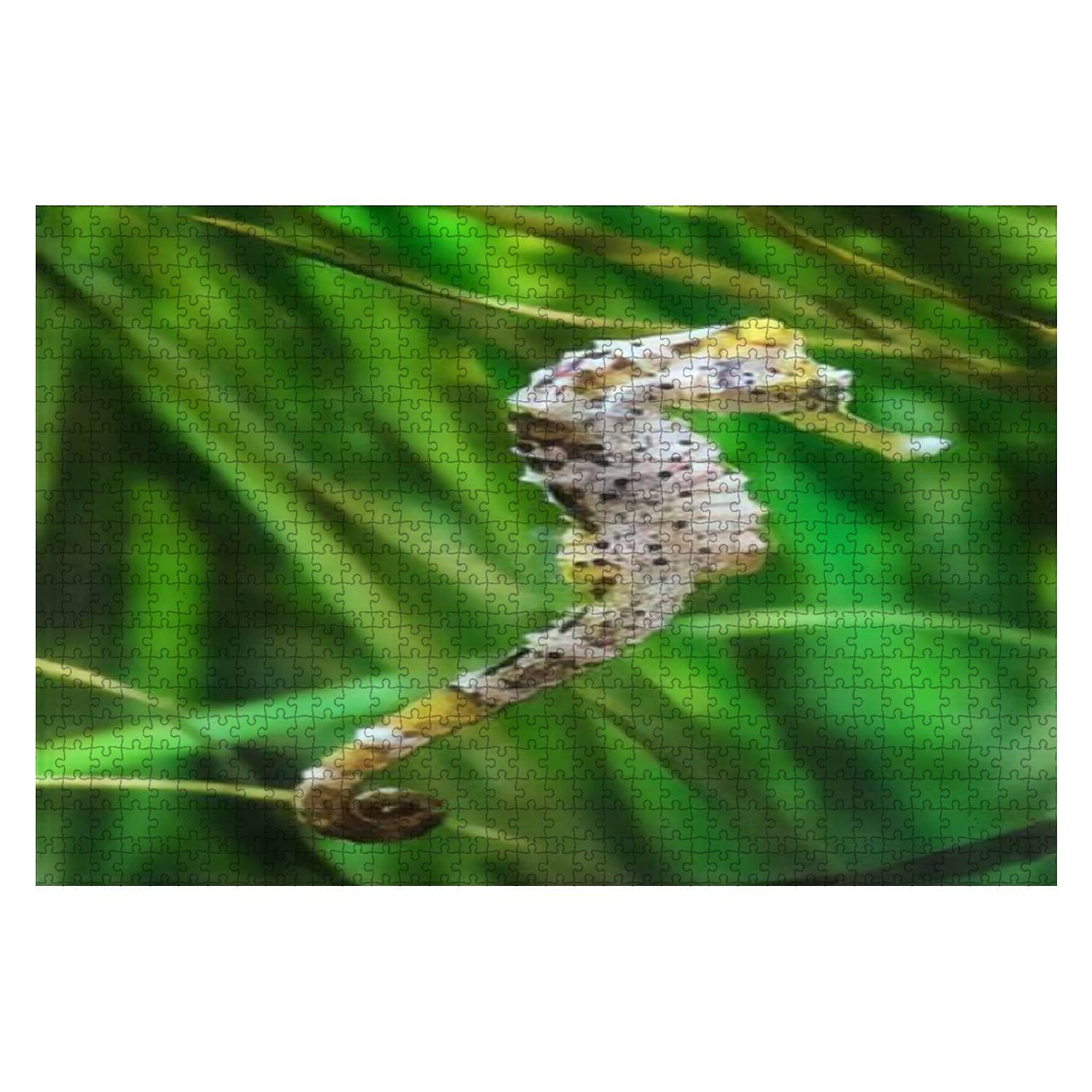 Wooden Puzzles Close up of a Beautiful Seahorse presumably Hippocampus kuda aka The Jigsaw 1000 Pieces of Kids,Adults,Youths,Family Game Artwork,Livingroom Bedroom Adorn,Birthday Gifts,Art Styles