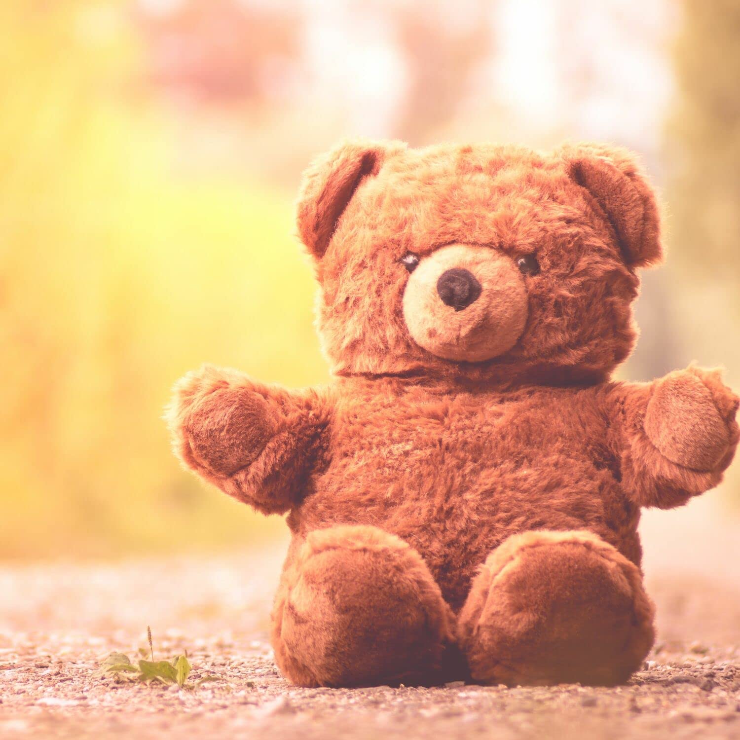 Infant Shusher Noise