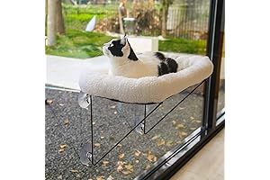 Safe Outdoor Cat Window Perch with Comfy Bed