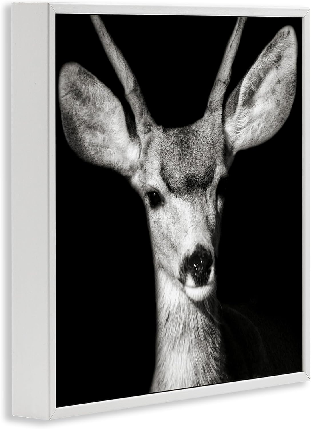 Stupell Industries Gazing Deer Portrait Framed Giclee Art Design by Kathy Mansfield
