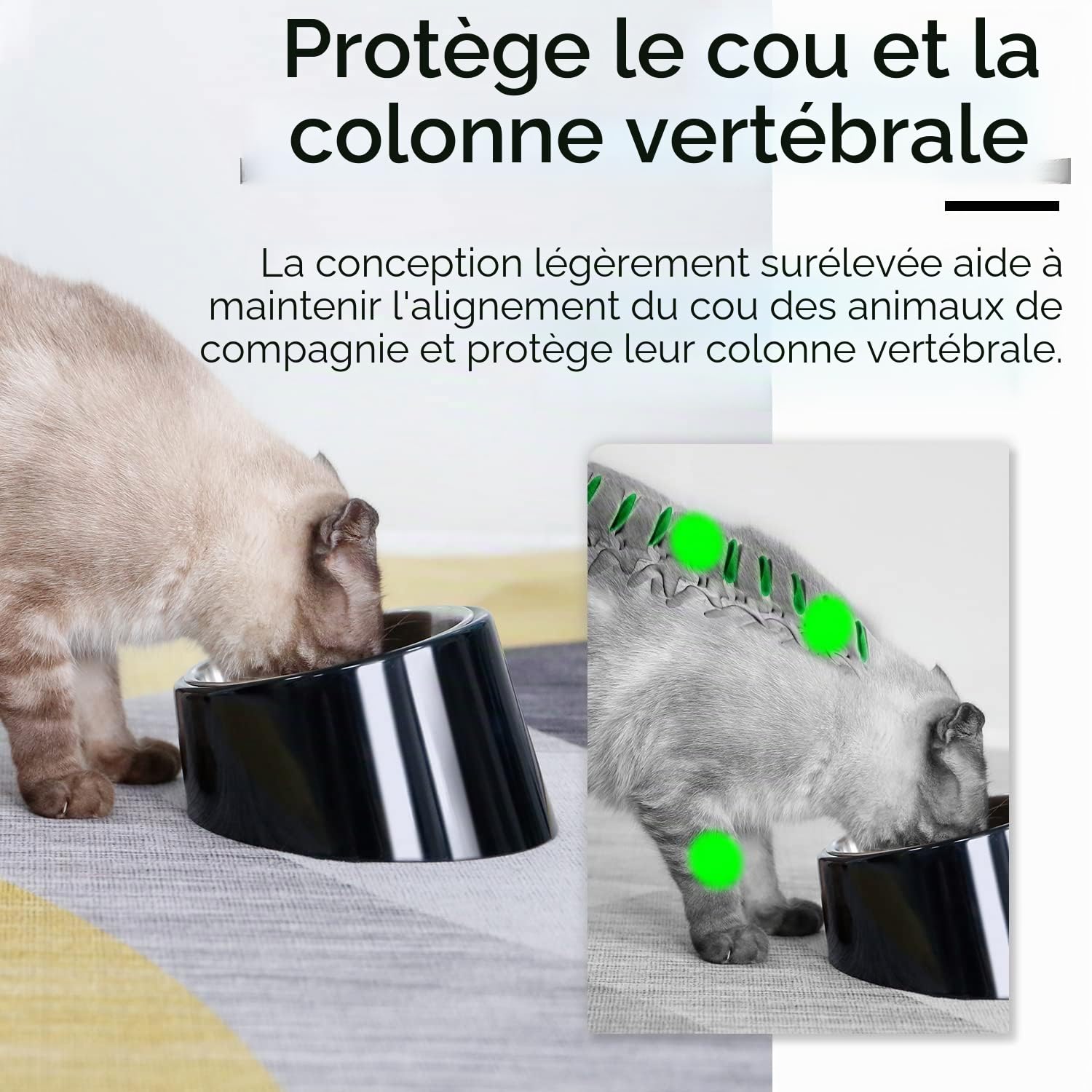 SuperDesign Gamelle inclinée à 15 ° pour Chiens et Chats, Bol pour Bouledogue à Angle incliné, antidérapant et Anti-déversement, Plus Facile à Atteindre la Nourriture L/2 Tasse Bleu-2