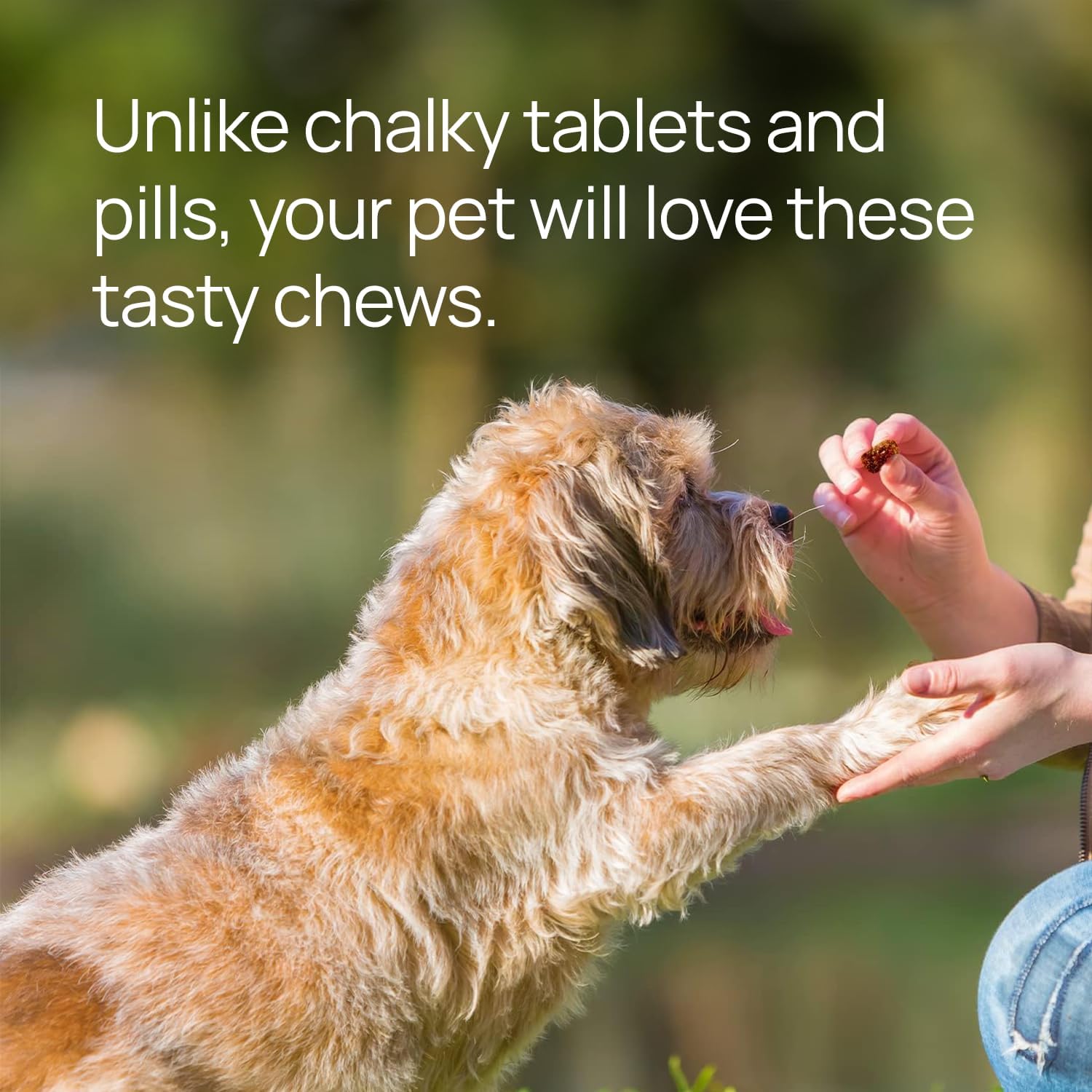 pawTree Natural Allergy Support Plus for Dogs-Ideal for Itching, Irritated Skin, Seasonal and Food Allergies, Hot Spots. Supplement Your pet Will Love. Small Chews for Pets - 60 Count (Small)