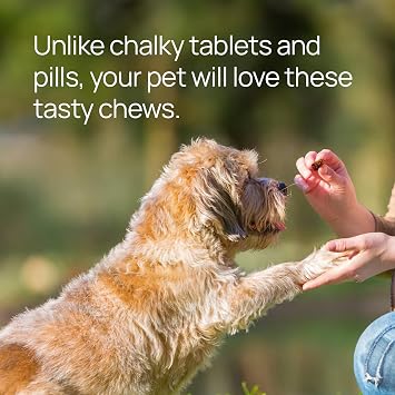 pawTree Natural Allergy Support Plus for Dogs-Ideal for Itching, Irritated Skin, Seasonal and Food Allergies, Hot Spots. Supplement Your pet Will Love. Small Chews for Pets - 60 Count (Large)