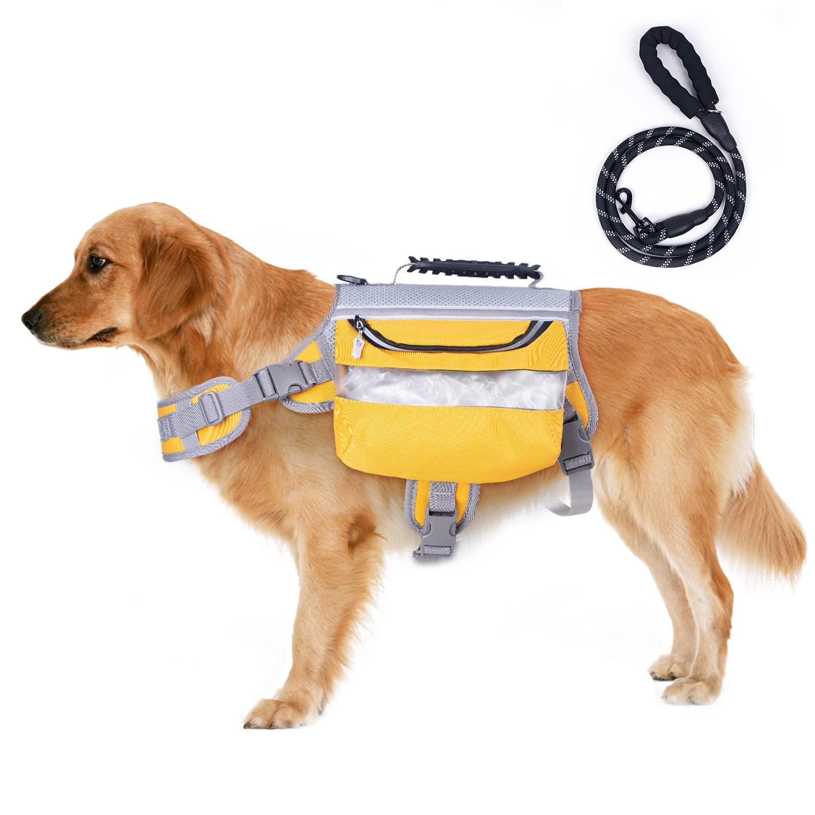How Can I Get My Dog To Backpack