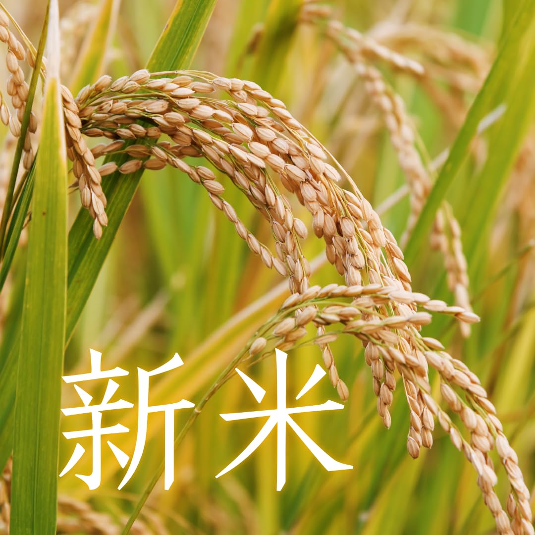 Amazon.co.jp: 長野県産 コシヒカリ /【信州アルプスの麓育ち】 精米