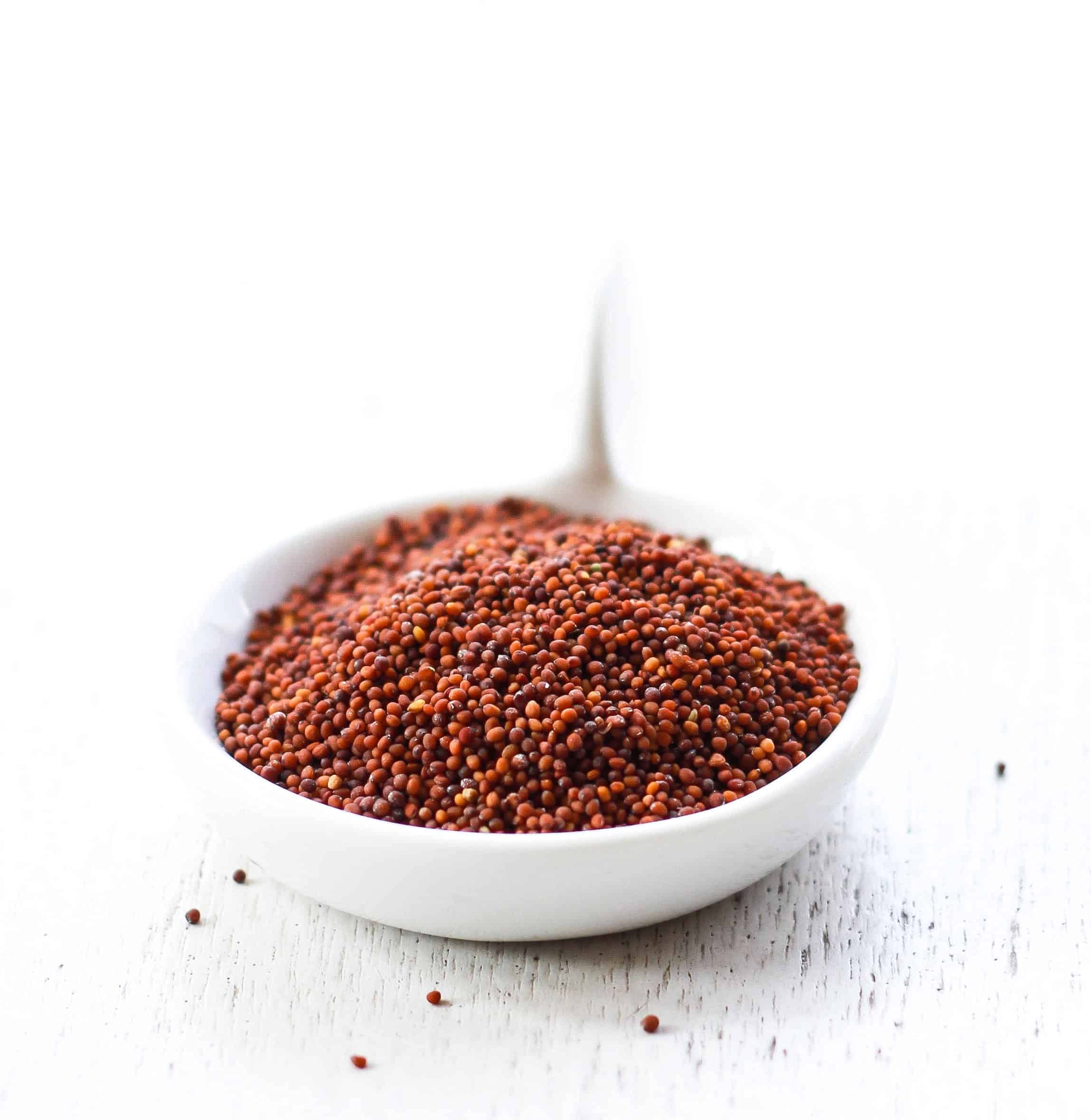 Red Mustard Seeds (Small) 250 grams - Chhoti Rai Seeds - Sarso Dana (B09DDDMW9C) Amazon Price History, Amazon Price Tracker