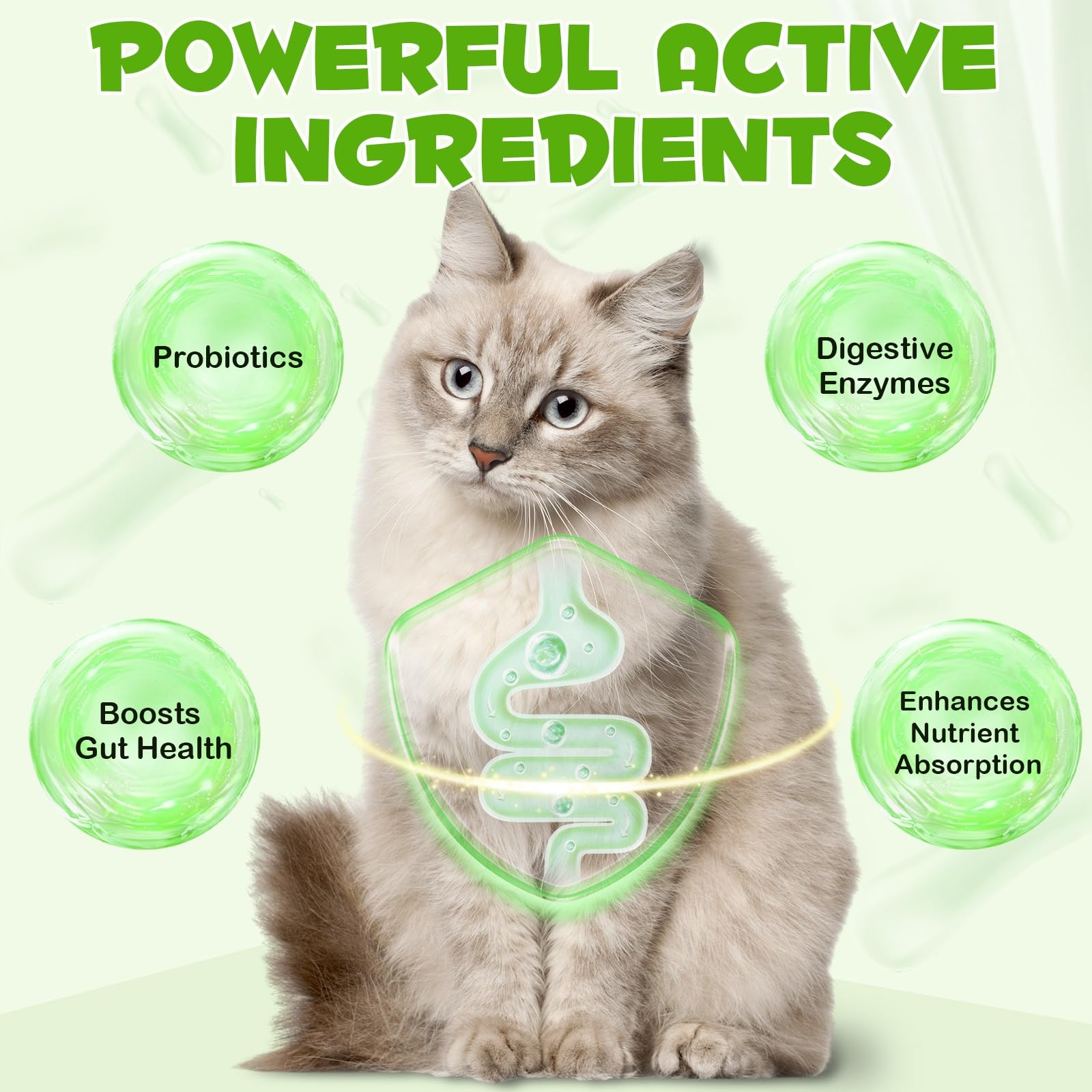 Probiotico per gatti, probiotici 3 in 1 per gatti domestici per alleviare la diarrea, supportare la salute intestinale, il prurito della pelle e l'immunità, integratore digestivo - 60 ml
