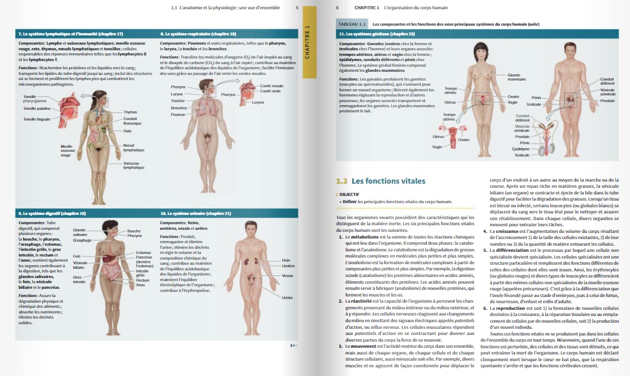 Manuel d'anatomie et de physiologie humaines