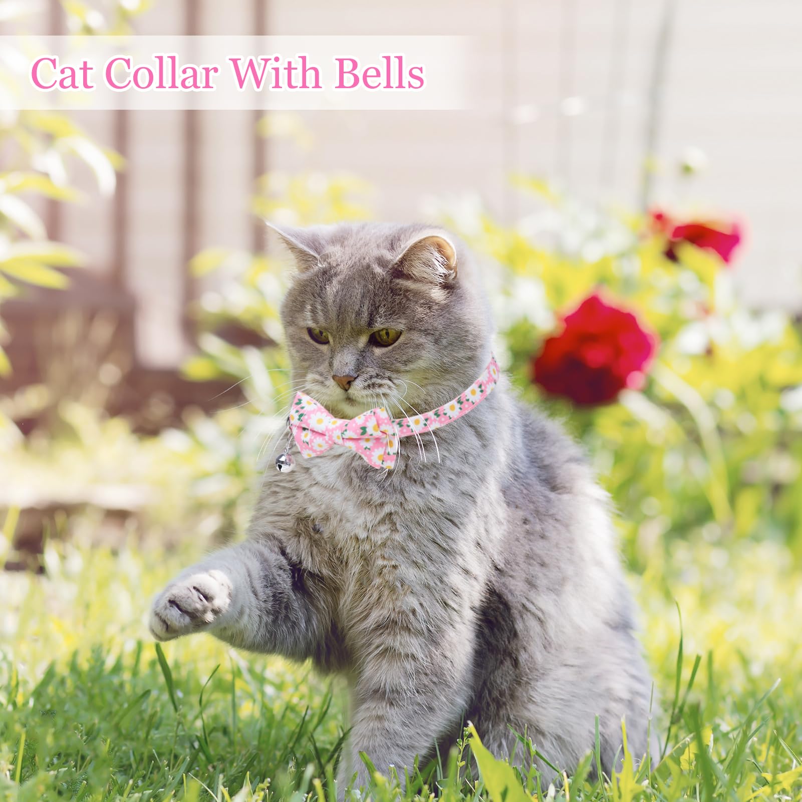 4 collares de gato separables con pajarita y campana, collar floral para gatito con pajarita extraíble, collares de seguridad ajustables para niñas y gatos