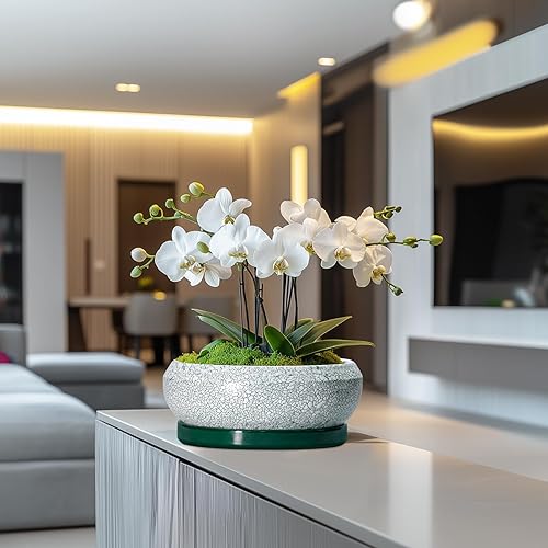 Miniatura 5 de Macetas para suculentas de 10 pulgadas, macetas de cerámica para bonsái con orificio de drenaje y platillo, macetas grandes para suculentas en