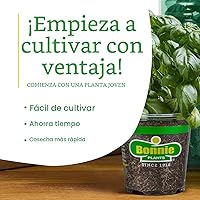 Vista 7 de Bonnie Plants Fresa, planta viva, 19.3 oz (paquete de 4)