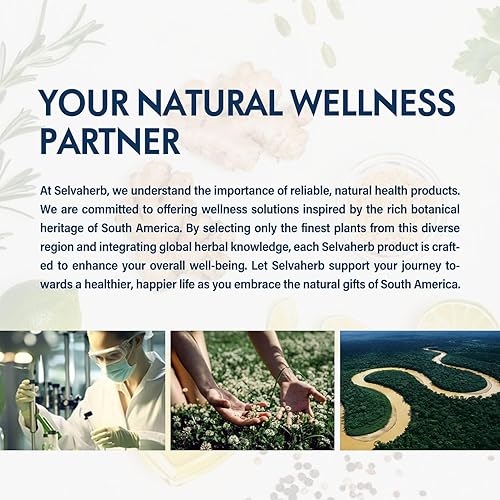 Miniatura 7 de Mullein (Verbascum thapsus) gotas líquidas, extracto de hierbas naturales para la salud respiratoria, radicales libres de combate y apoyo