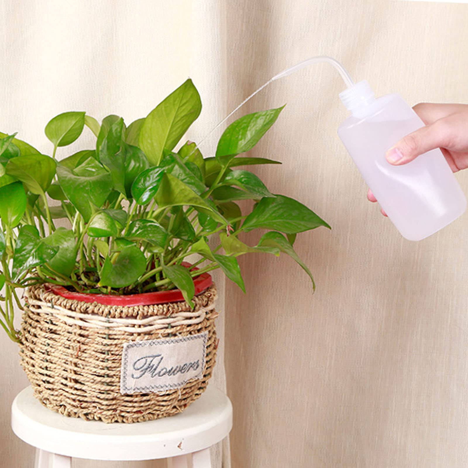 Anicy Lot De 3 Flacons Pissettes De 250 Ml - Bouteilles De Laboratoire Avec Pipette Fine En