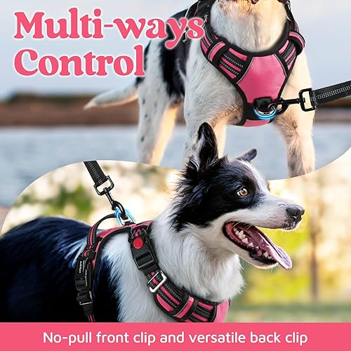 Miniatura 3 de rabbitgoo Dog Harness Medium Sized, No Pull Dog Vest with 3 Buckles, Adjustable Soft Padded Pet Harness with Easy Control Handle and Reflective Negro