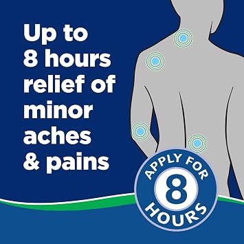 Salonpas Pain Relieving Jet Spray, 4 Fl Oz
