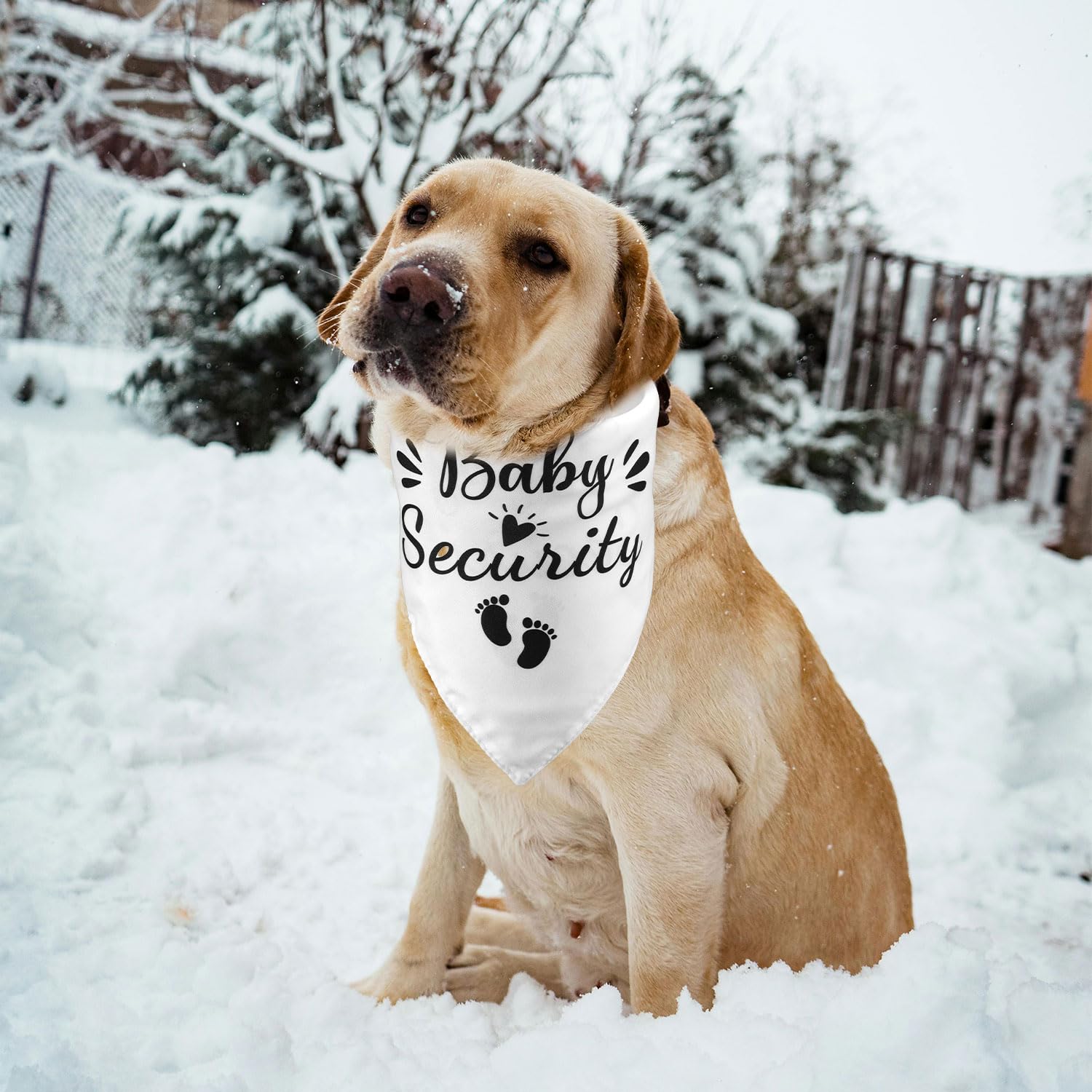 BOXOB 2 Pezzi Bandana per Cani Gravidanza, Bavaglino Triangolare per Animali Domestici Sicurezza Bambino Addestramento Fascia Sorella Maggiore Regalo