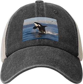 Snapback Trucker Hats Killer Whale Cowboy Baseball Caps Adjustable Blank Mesh Ball Caps for Men Women