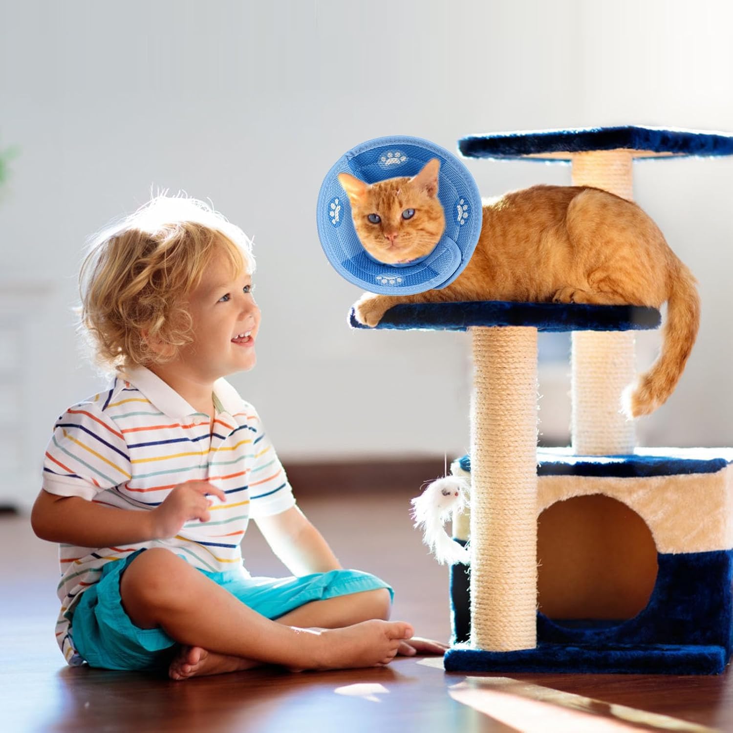 Collare Elisabettiano Morbido Per Gatti E Cani - Anti Leccarsi E Mordersi - Taglia S Blu - Post Operatorio - Foto 7