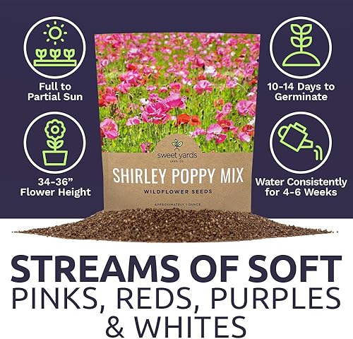 Miniatura 6 de Shirley - Semillas de amapola - Colores mezclados - Paquete extra grande - Más de 200,000 semillas de flores silvestres polinizadas abiertas sin OMG