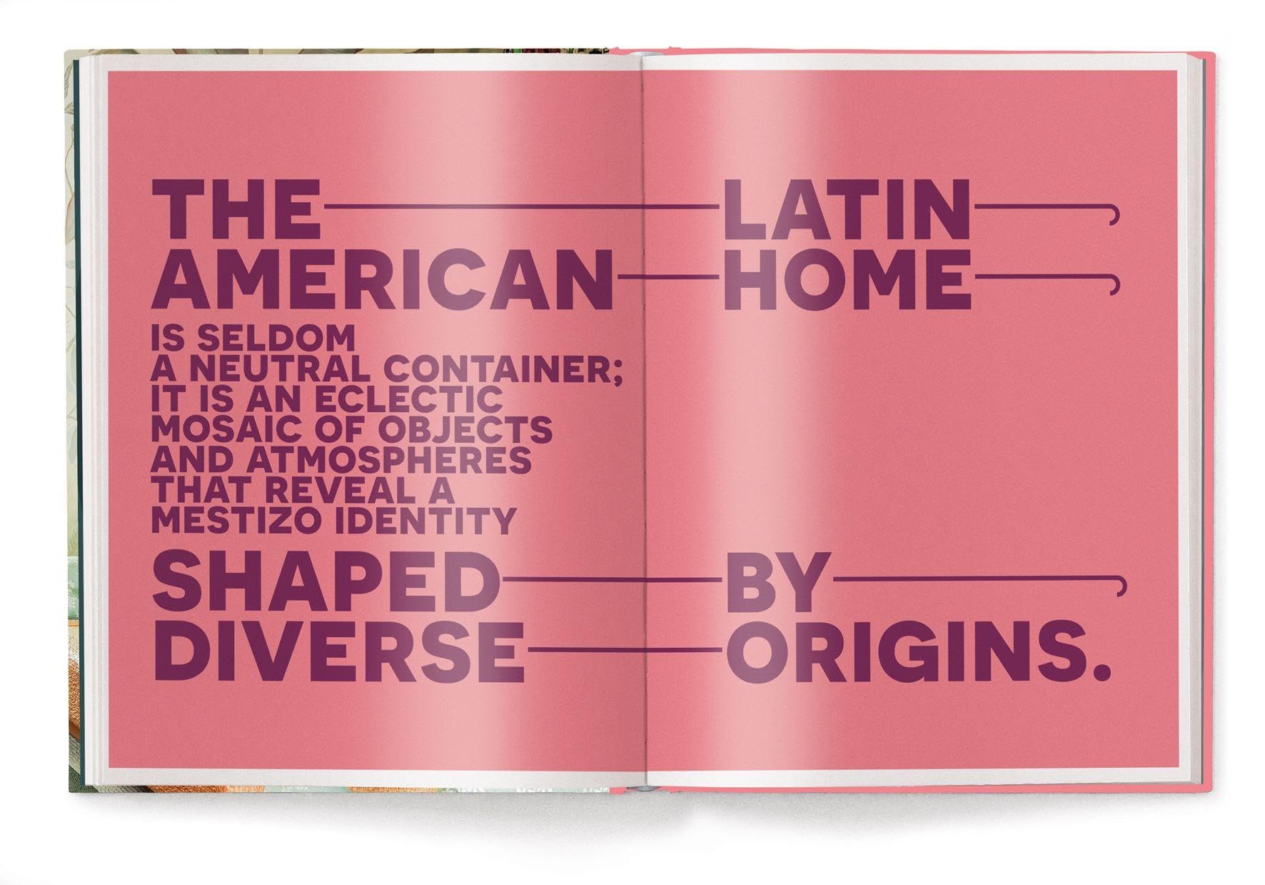 Interior Design in Latin America (World of Interior Design)