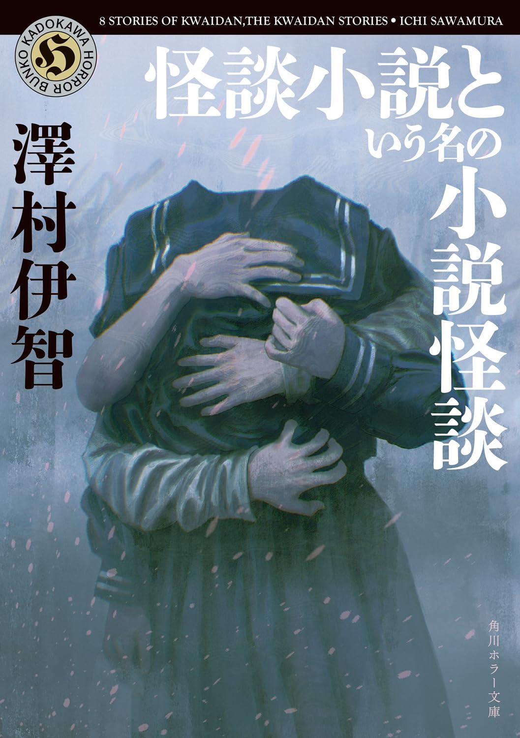 Amazon.co.jp: 怪談小説という名の小説怪談 (角川ホラー文庫) : 澤村伊