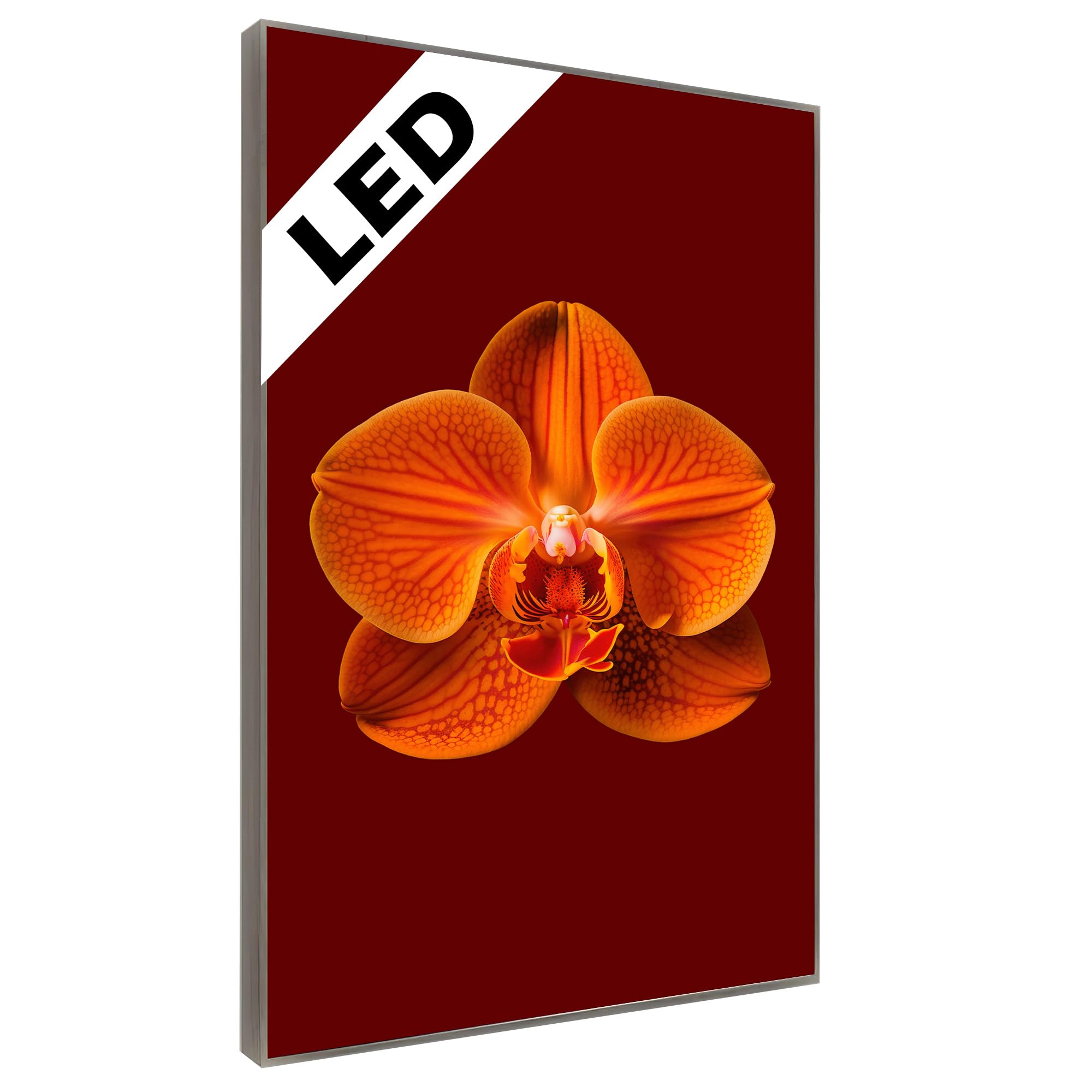 LED Wandbild Orange Orchidee – Beleuchtet - Florales Fotografie Leuchtbild